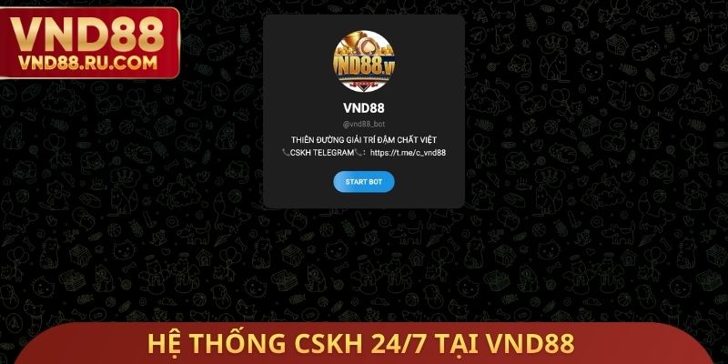 Hệ thống CSKH 24/7 tại 888VND