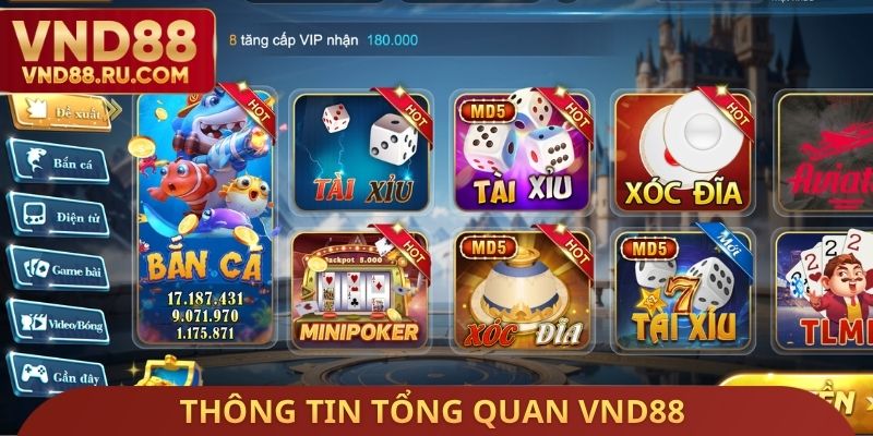 Thông tin tổng quan 888VND